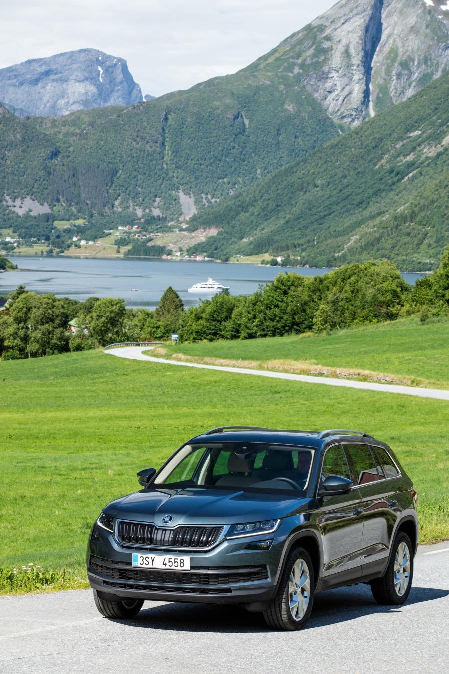  Skoda Kodiaq 2016 года  (WW) (фото 74 из 119)